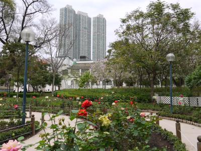 Kowloon park