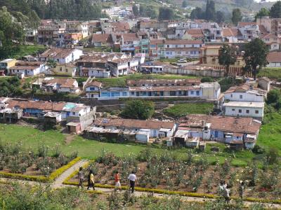 Ooty suburb seen from the rose garden