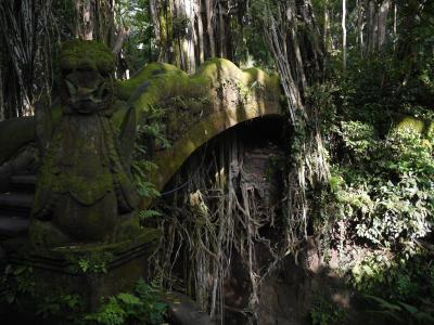 Bridge in the Sacred Monkey Sanctuary