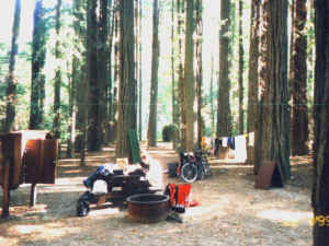 Redwood campground, 14.2k