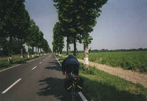 tree-lined road, 7.5k