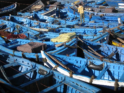 Fishing boats in Essaouira's harbor