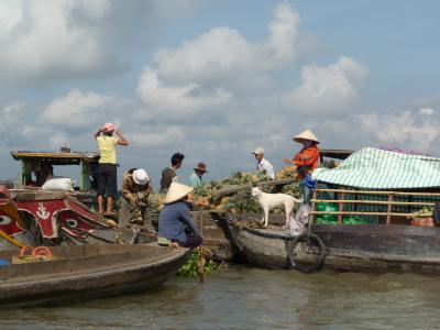 Floating market on the Mekong river