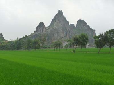 Mountains surrounded by rice paddies in Ninh Binh